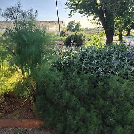 فندق مبيت وإفطار La Crota 4*