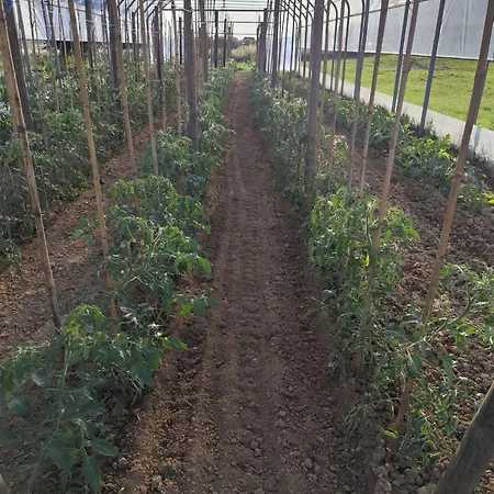 La Crota 4* آستي