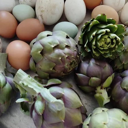 לינה וארוחת בוקר La Crota